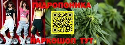 гидропоника Кимры